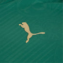 Nova Camisa do Palmeiras I Verde- 2024-25 (FRETE GRÁTIS)