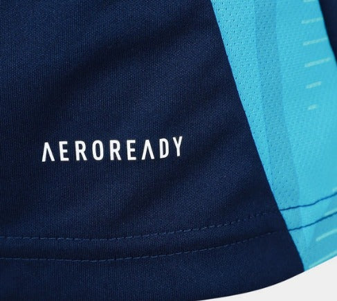 Nova Camisa Comissão Flamengo 2024 Azul Escuro [FRETE GRÁTIS]