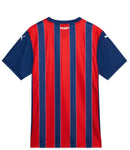 Camisa Torcedor 2 2025 Bahia Puma [FRETE GRÁTIS]