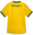 Nova Camisa Palmeiras Puma III 25/26 (FRETE GRÁTIS)
