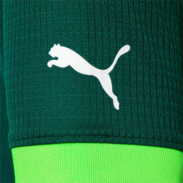 Nova Camisa Palmeiras Puma 2023/24 [FRETE GRÁTIS]
